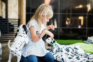 spielend mit den Hunde Welpen