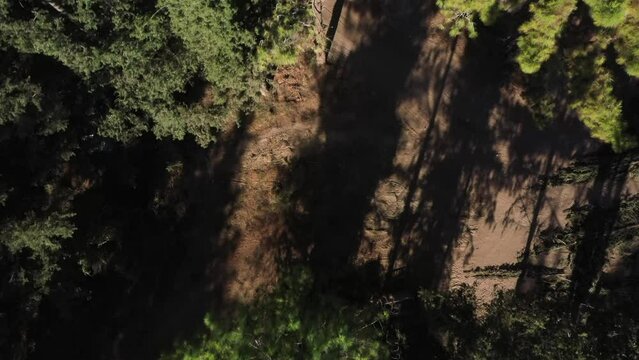 Aerial video above a tactor pulling a tree in Ein Shosfit National Park, Israel
