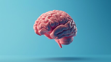 3D Rendered Human Brain on Blue Background