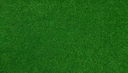 green grass texture