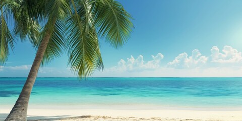 This idyllic scene captures a single palm tree leaning over a pristine sandy beach with crystal-clear waters and a clear blue sky