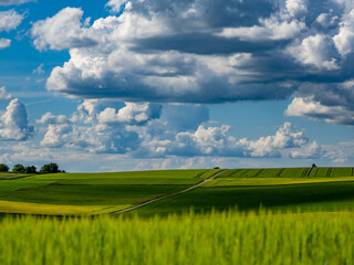 Gr&uuml;ne Agrarlandschaft nach vielen Regenf&auml;llen