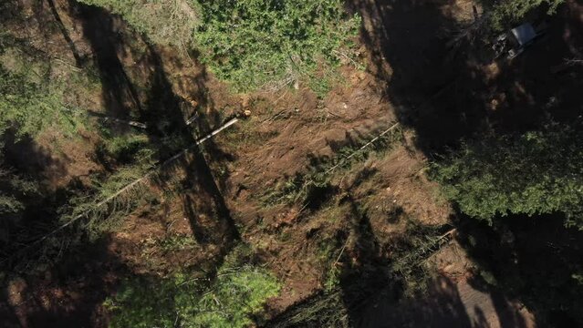 Aerial video above a tactor pulling a tree in Ein Shosfit National Park, Israel