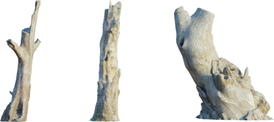 stump front 4k png cutout isolate roots isolated on white background