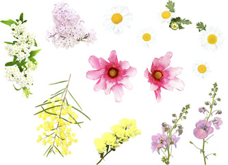 切り抜き透過素材セットー春の花4