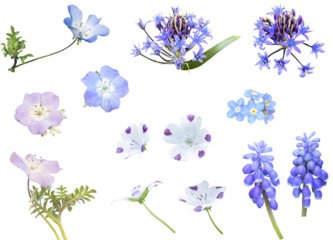 切り抜き透過素材セットー春の花5