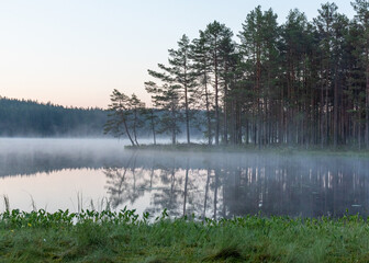 Fototapeta premium landscape with lake in fog, swamp lake, fog background