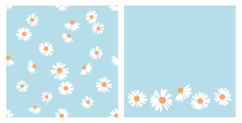 Seamless pattern with daisy flower on blue background. Daisy icon set vector.