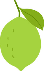 Green lemon vector.
Whole lemon.
Green lemon with leaves.