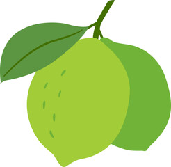 Green lemon vector.
Whole lemon.
Green lemon with leaves.