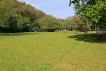 blick in den luisenpark in bad bergzabern