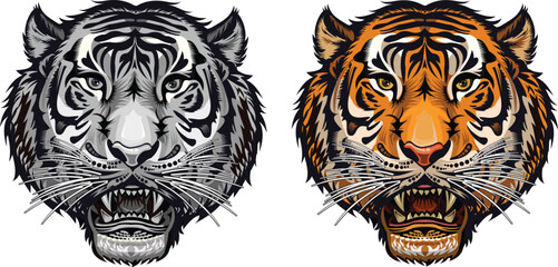 Color Tattoo of Saber-toothed tiger