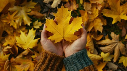 top view of hands holding a yellow leaf in autumn