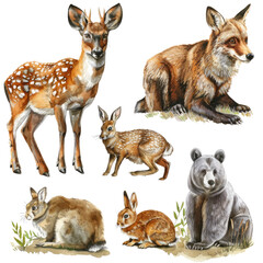 A collection of forest animals, including a deer, fox, bear, and rabbits in isolated on transparent background