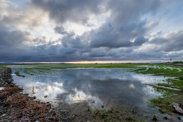 Sunset around the Albufera of Valencia (Spain)
