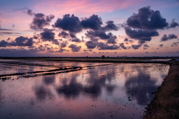 Sunset around the Albufera of Valencia (Spain)
