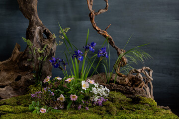 an interesting composition on a tree stump of spring flowers, cockles, wild rose and thyme, in a naturalistic style