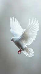 Obraz premium Peaceful Dove in Stylized Illustration Generative AI