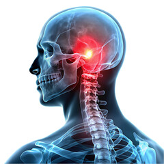 Arafed view of a mans back with a glowing spine