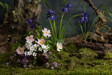 an interesting composition on a tree stump of spring flowers, cockles, wild rose and thyme, in a naturalistic style