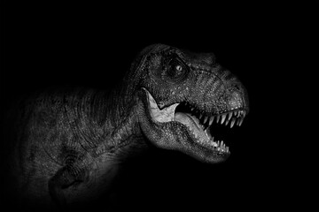 Tyrannosaurus Rex dinosaurs close up on dark background.