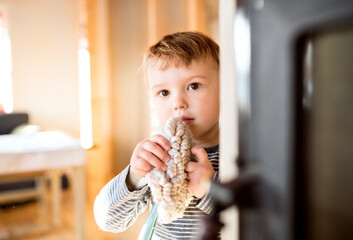 Little boy helping mother with hosehold chores, dusting cleaning their house. Weekly chores,...