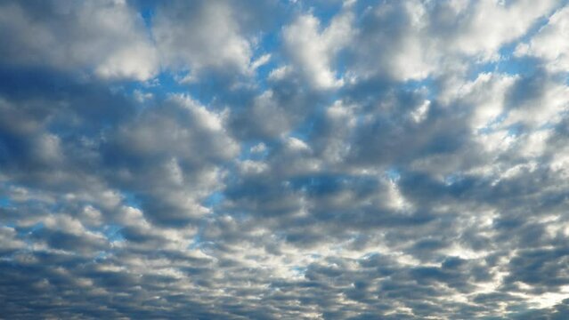 Altocumulus, middle-altitude cloud genus, stratocumuliform physical category, characterized by globular masses or rolls in layers or patches being larger and darker. Airmass instability. Real time