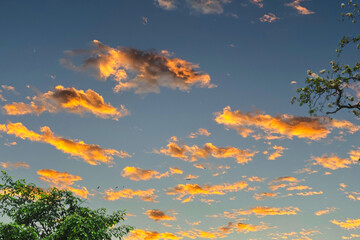 spectacular sunset and tree crowns. Cloudscape and sunset time
