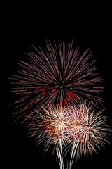 Fototapeta premium Fireworks Against a Dark Night Sky