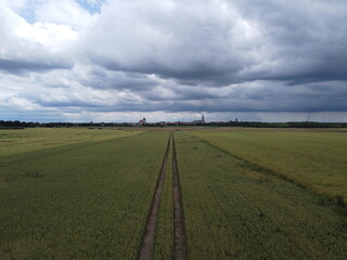 Rapsfelder vor Greifswald