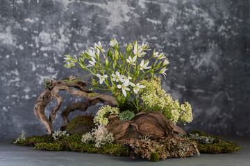 a composition on a tree stump of spring wildflowers