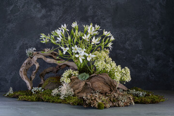 a composition on a tree stump of spring wildflowers
