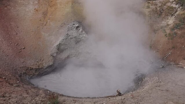 Steamy Yellowstone Geyser on August 27, 2023, Wyoming USA