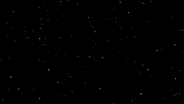 Animated floating air bubbles on black screen and alpha channel, 4k, loop
