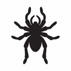 Black Spider Silhouette Icon on White Background