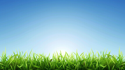 Green grass on a blue clear sky, representing the theme of spring nature