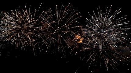 Wonderful vivid fireworks exploding on background of black night sky for celebration