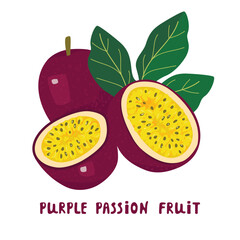 Purple passion fruit  and leaf  isolated on white background.Cartoon illustration with plant and handwritten.Botanical  design for printing on fabric and paper.Vector clipart for use in banner,card.