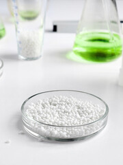 Close-up of a petri dish for chemical experiments against the background of other laboratory glassware.