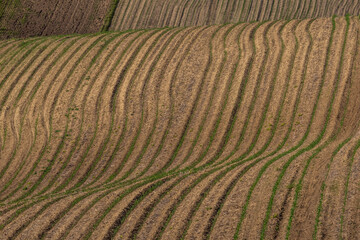 Fototapeta premium undulating agricultural landscape of Moravian Tuscany with regular lines acting like abstract art