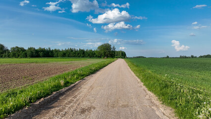 road in the field