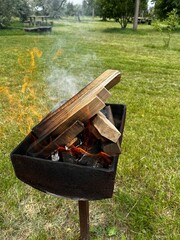 barbecue grill in the garden