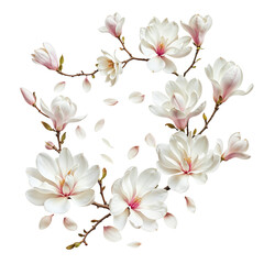 Obraz premium White magnolia flowers flying through the air