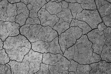 textured dry cracked soil