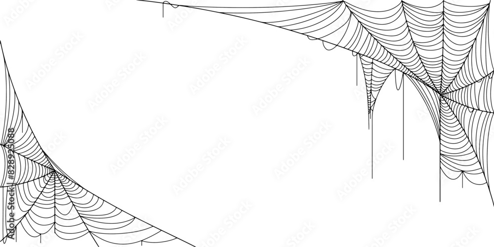 Canvas Prints spider web vector illustration