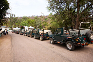 Fototapeta premium PANNA, INDIA-MAY 04: Tourist Safari jeeps waiting in line near main gate of Panna Tiger Reserve, Madhya Pradesh, India on May 04, 2024