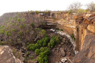 Panoramic view of a vutlure point at Panna Tiger Reserve, Madhya pradesh, India. The white color on...