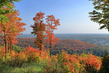 Fototapeta premium Indian Summer skyline