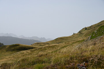 Pla de Beret, in summer pastures for cows and horses and in winter Baqueira Beret ski slope of the Val D'Aran