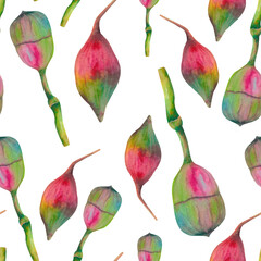 Watercolor patterns eucalyptus hand painted illustration isolated for print, fabrics 
